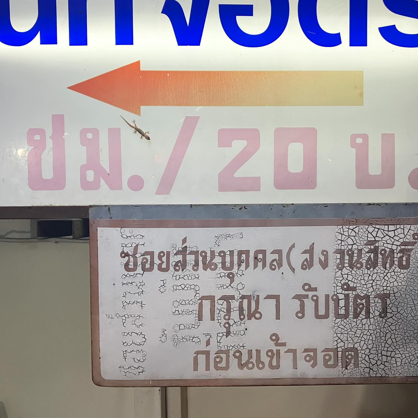  grid image