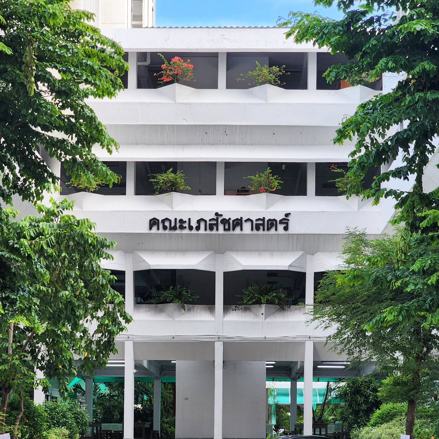  grid image