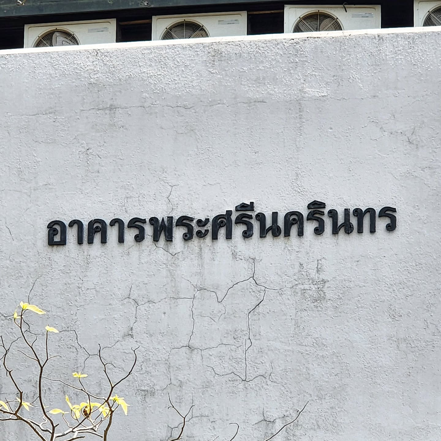 grid image